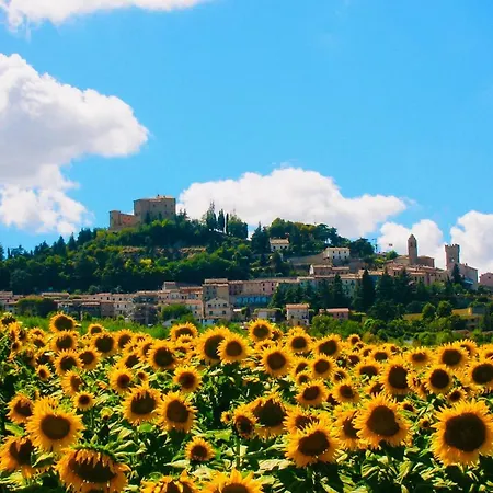 Bertinoro Bed And Breakfast Gasthof *
